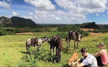What to do in Viñales